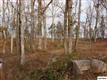 LOT 7  French Broad River Rd , Seymour, TN