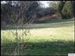 Lot 1 Bays Mountain Rd., Dandridge, TN 37820