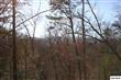 Tract 1 & 2  Vic King Way , Gatlinburg, TN