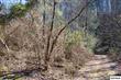 Lot #18  Rubye Road , Sevierville, TN