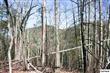 5.89 Ac  Gossamer Rd , Cosby, TN
