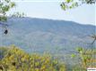 78  AC  Middle Creek , Cosby, TN