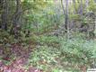 23.15  Shady Springs Way , Cosby, TN