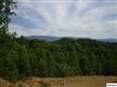 3704  Pleasant Valley Road , Cosby, TN