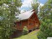 4431  Forest Vista Way , Pigeon Forge, TN