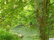   Snapp Road , Sevierville, TN