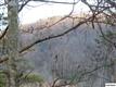 Lot 10  Water Tower Road , Gatlinburg, TN