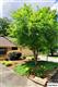 309  Camelot Court , Knoxville, TN