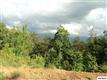 Parcel 015.00  Wiley Oakley Drive , Gatlinburg, TN