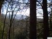 Lot 3  Off Of Catons Grove Road , Cosby, TN