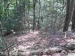  Bogard Creek Road, Cosby, TN 37722