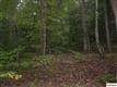 Parcel 017.67  Rocky Ridge Road , Cosby, TN