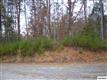 Parcel 025.33  Padgett Mill Road , Cosby, TN
