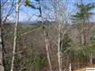 Sevierville
