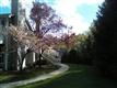 9  Ray Ct 