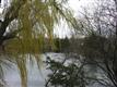 35  High Pond Ln , Bedminster Twp., NJ