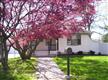 Fanwood Boro