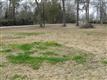 000  Midline Rd 