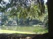 11 Crosstree Drive, Hilton Head Island, SC 29926
