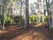 53 Newberry Court, Bluffton, SC 29910