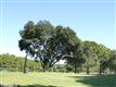 8 Orista Pl, Hilton Head Island, SC 29926