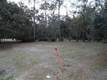 4  Bluebell Trace 
