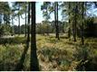 337  Fort Howell Dr , Hilton Head Island, SC