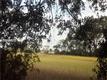 22 S Range Overlook , Daufuskie Island, SC
