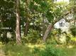 83  Plantation House Dr , Bluffton, SC