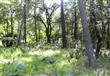 32 Beauregard Blvd, Daufuskie Island, SC 29915