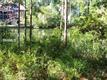 8 Fairfax Ln, Hilton Head Island, SC 29928