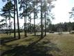 164  Oldfield Way , Okatie, SC