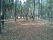 2  White Lantern , Daufuskie Island, SC