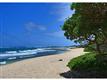 Kahuku