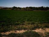 0 Succor Creek/Sage Road Property Thumbnail of 0 Succor Creek/Sage Road