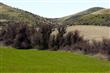 Weiser