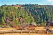 1598 Long Haul, Grangeville, ID 83530