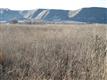 23xx Sales Yard Rd, Emmett, ID 83617