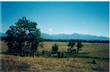 Mccall