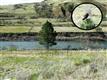 Lot 1 Rivers Bend Rd, White Bird, ID 83554