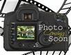1731  Avellino Brooke Court , Nampa, ID
