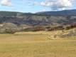 2381 Hwy 95, Council, ID 83612