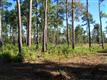 00  Parkertown Road 