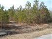 000  Nine Mile Road , Maple Hill, NC