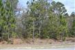413  Star Hill Drive , Cape Carteret, NC