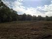1843  Haw Branch Road , Beulaville, NC