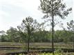 14A  Garland Shores Drive , Hubert, NC