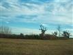 757  Eaton Place , Newport, NC