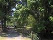 3321  Laws Chapel Rd. 