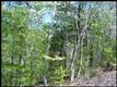 211  Mountain Retreat Road 